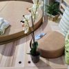 Angolare Legno Cedro - immagine 5